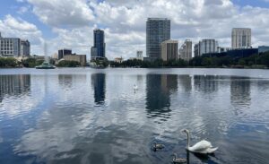 Gaylord Boxes in Orlando, Florida